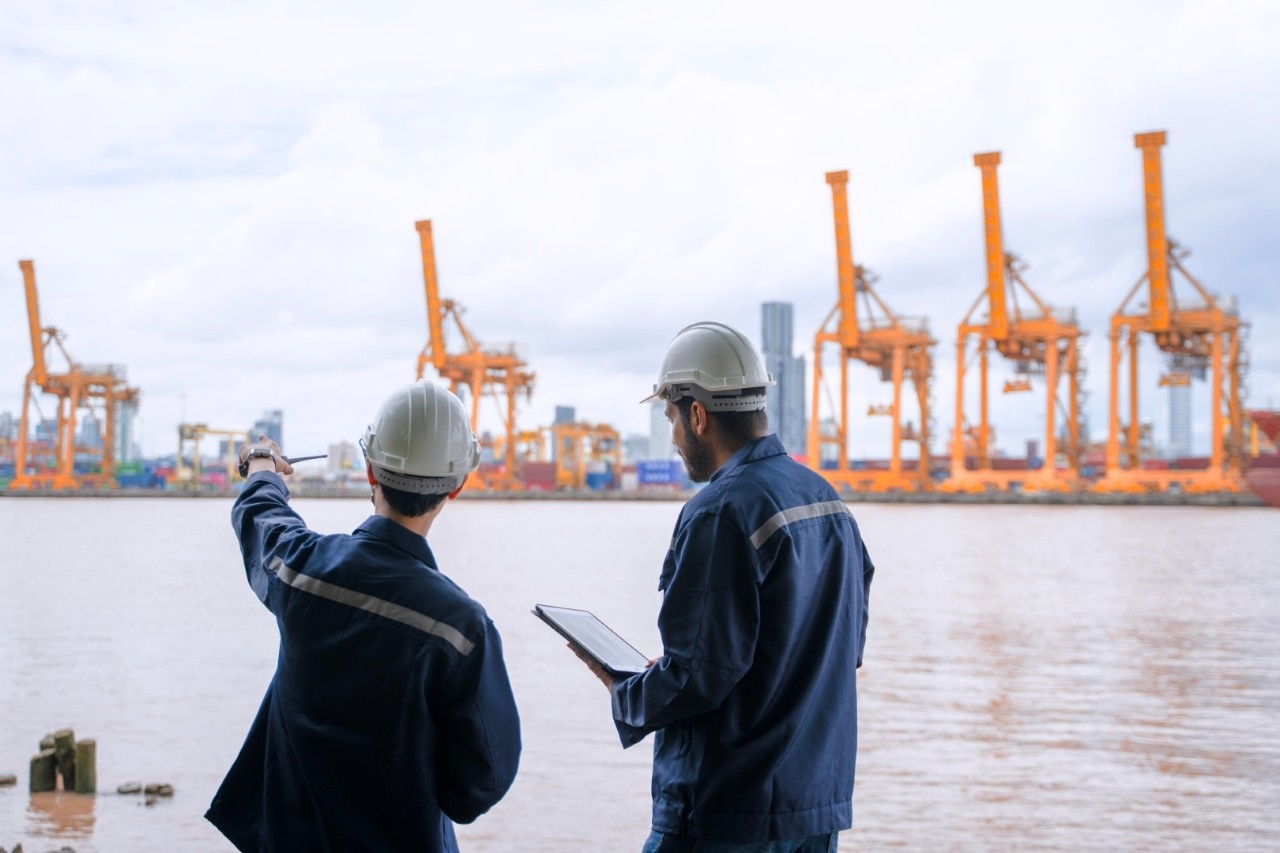 Lubricantes biodegradables